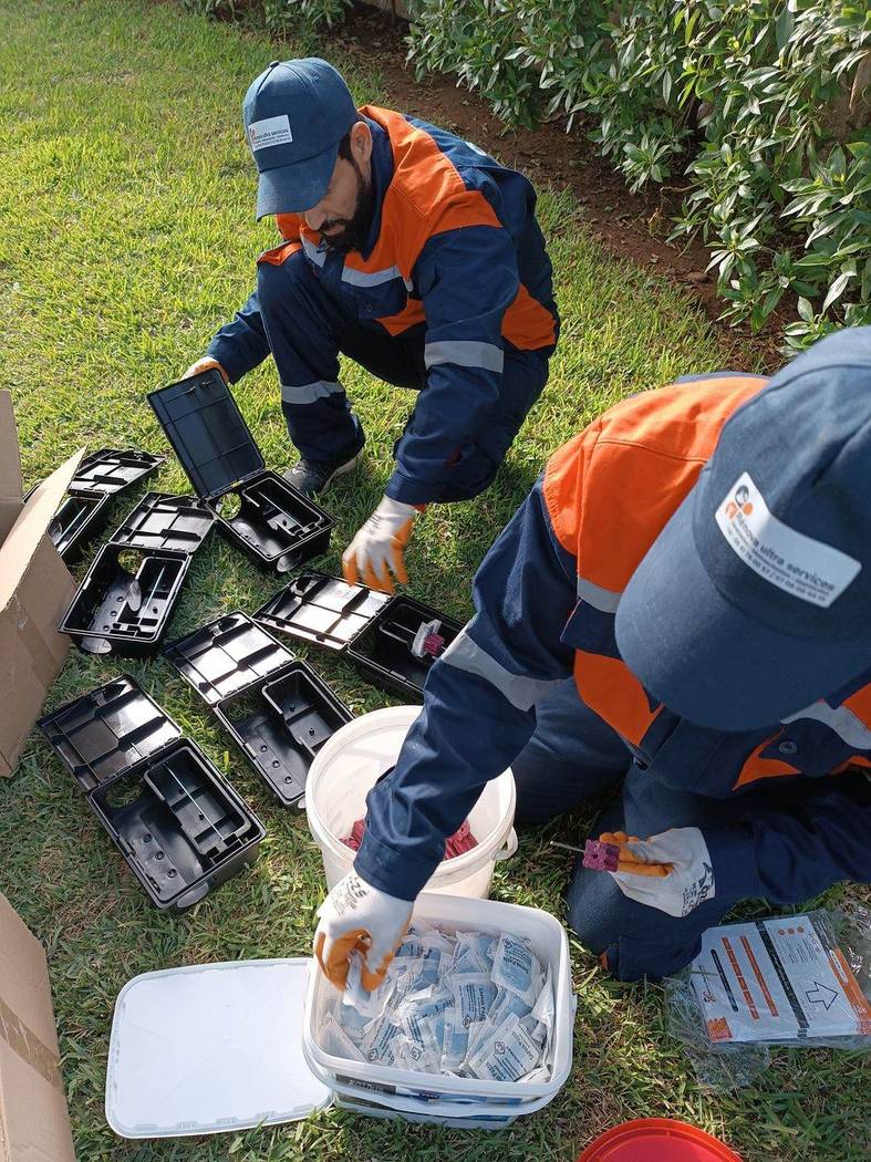 Dératisation à Marrakech : montage des postes d'appâtage sécurisés par les techniciens Rénova Ultra Services