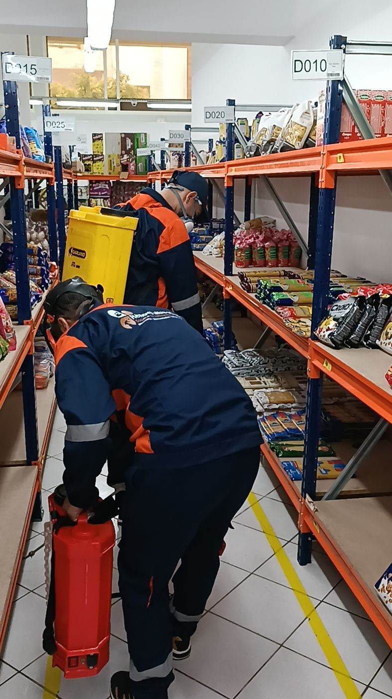 Désinsectisation à Marrakech : traitement d'une surface de vente hors heures d'exploitation