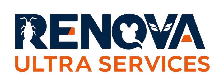 Rénova Ultra Services — hygiène 3D à Marrakech